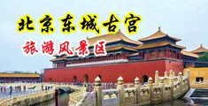 美女全裸被操瑟瑟图片网站中国北京-东城古宫旅游风景区