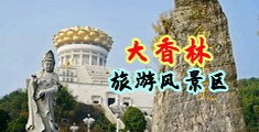 干死你小骚逼免费视频中国浙江-绍兴大香林旅游风景区